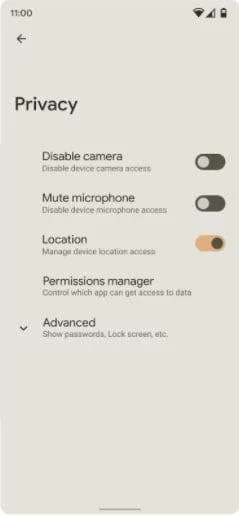 Android 12 microphone © © XDA Developers