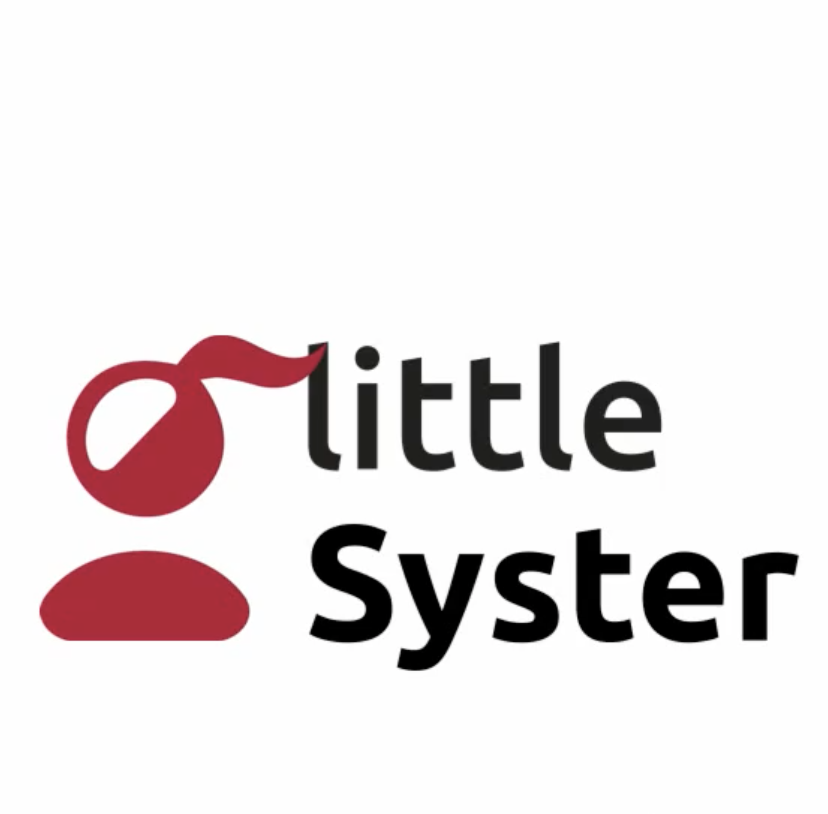 Little Syster, l'application européenne qui donne un score de confidentialité aux services numériques