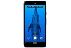 Les Google Pixel améliorent leurs photos sous-marines