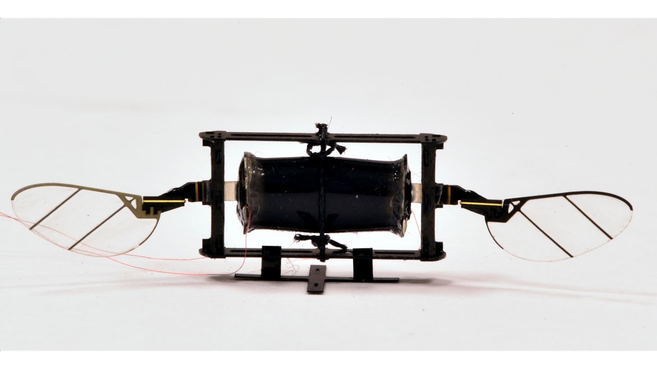 Des chercheurs du MIT ont conçu des drones s'inspirant des insectes volants