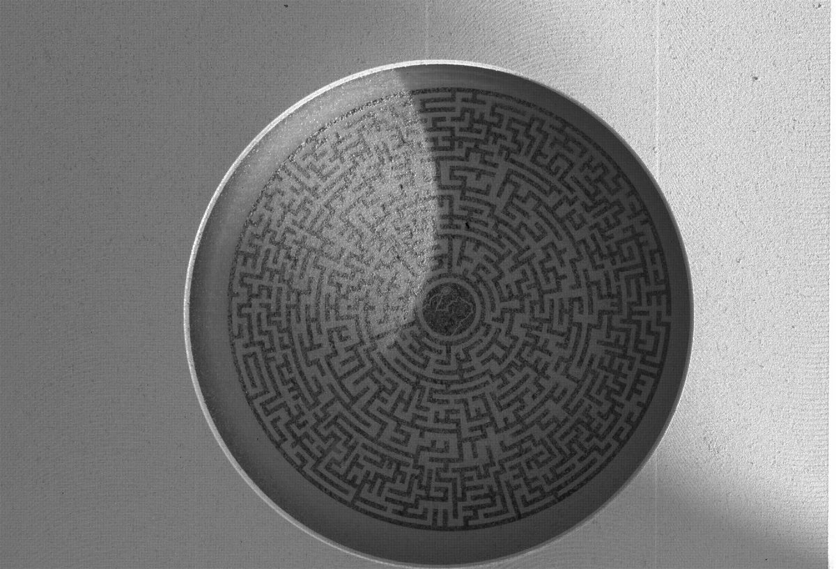 Alors, qui osera jouer au labyrinthe qui sert de mire à la petite caméra WATSON ? Élémentaire… Crédits NASA/JPL-Caltech