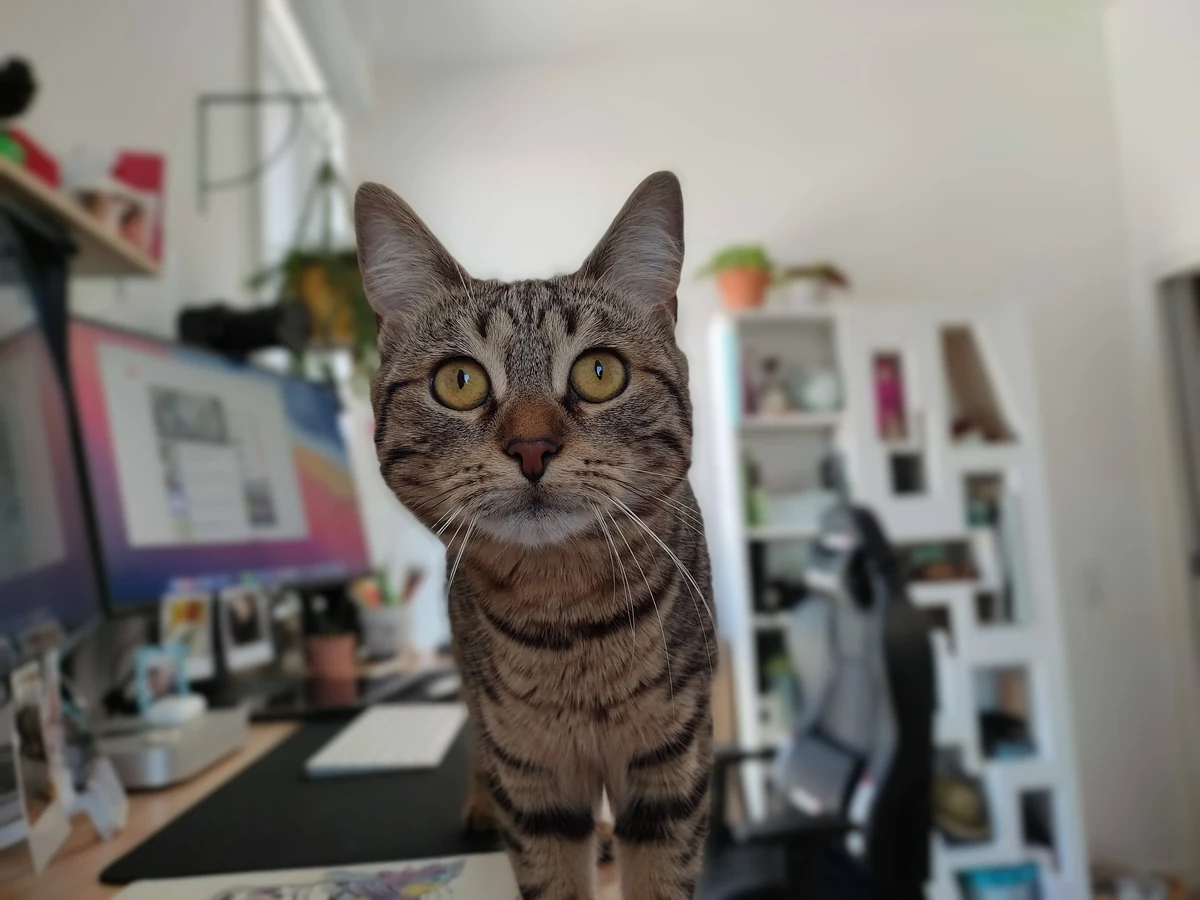 Redmi Note 10 test © © Pierre Crochart pour Clubic