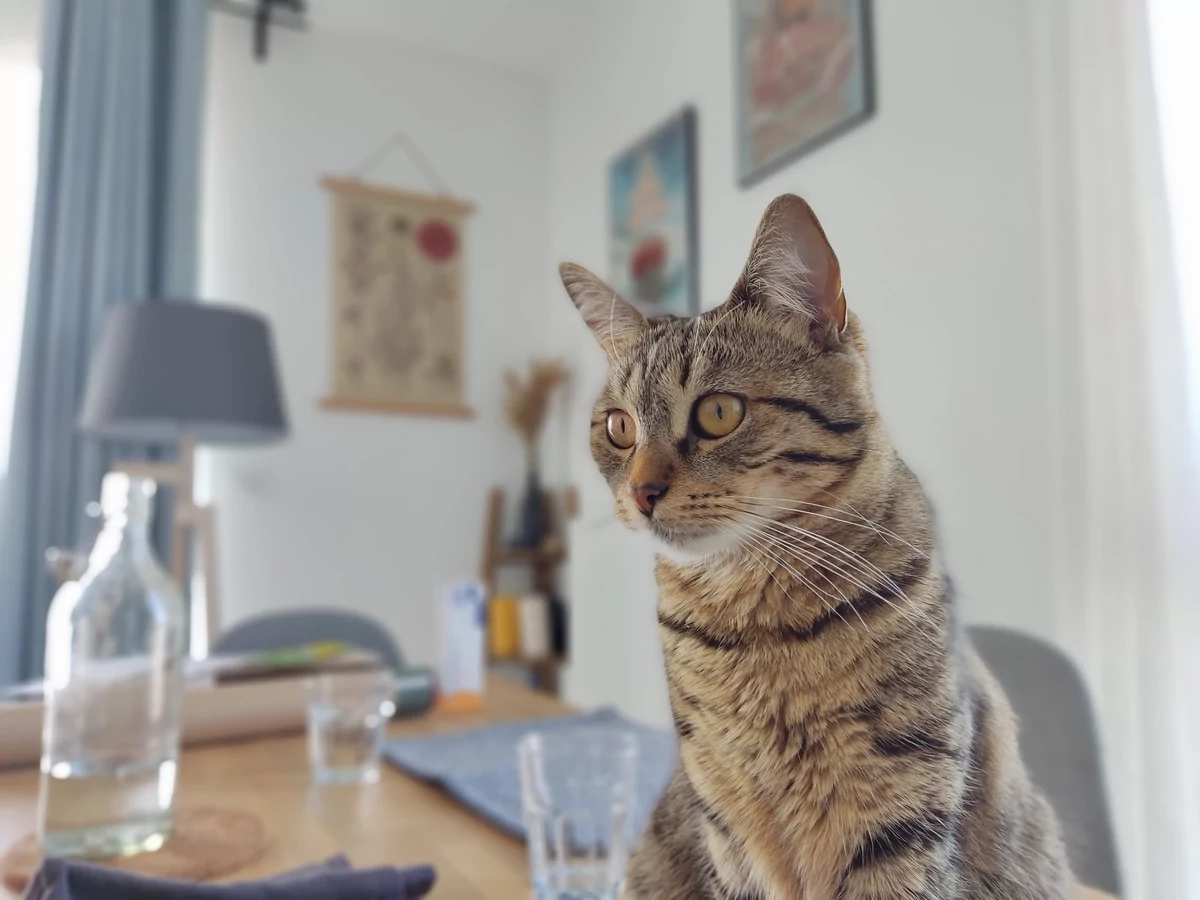 POCO X3 Pro test © © Pierre Crochart pour Clubic
