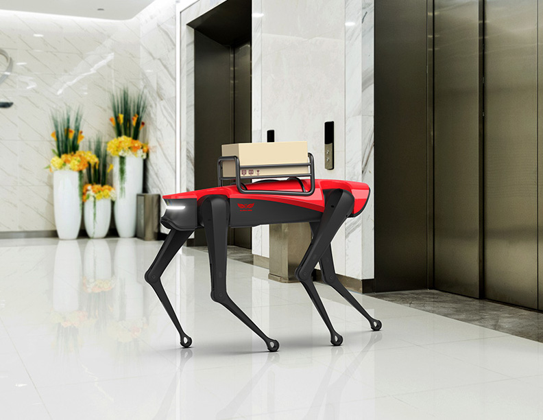 Chine : AlphaDog, le robot chien prêt à concurrencer le Spot de Boston Dynamics