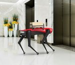 Chine : AlphaDog, le robot chien prêt à concurrencer le Spot de Boston Dynamics