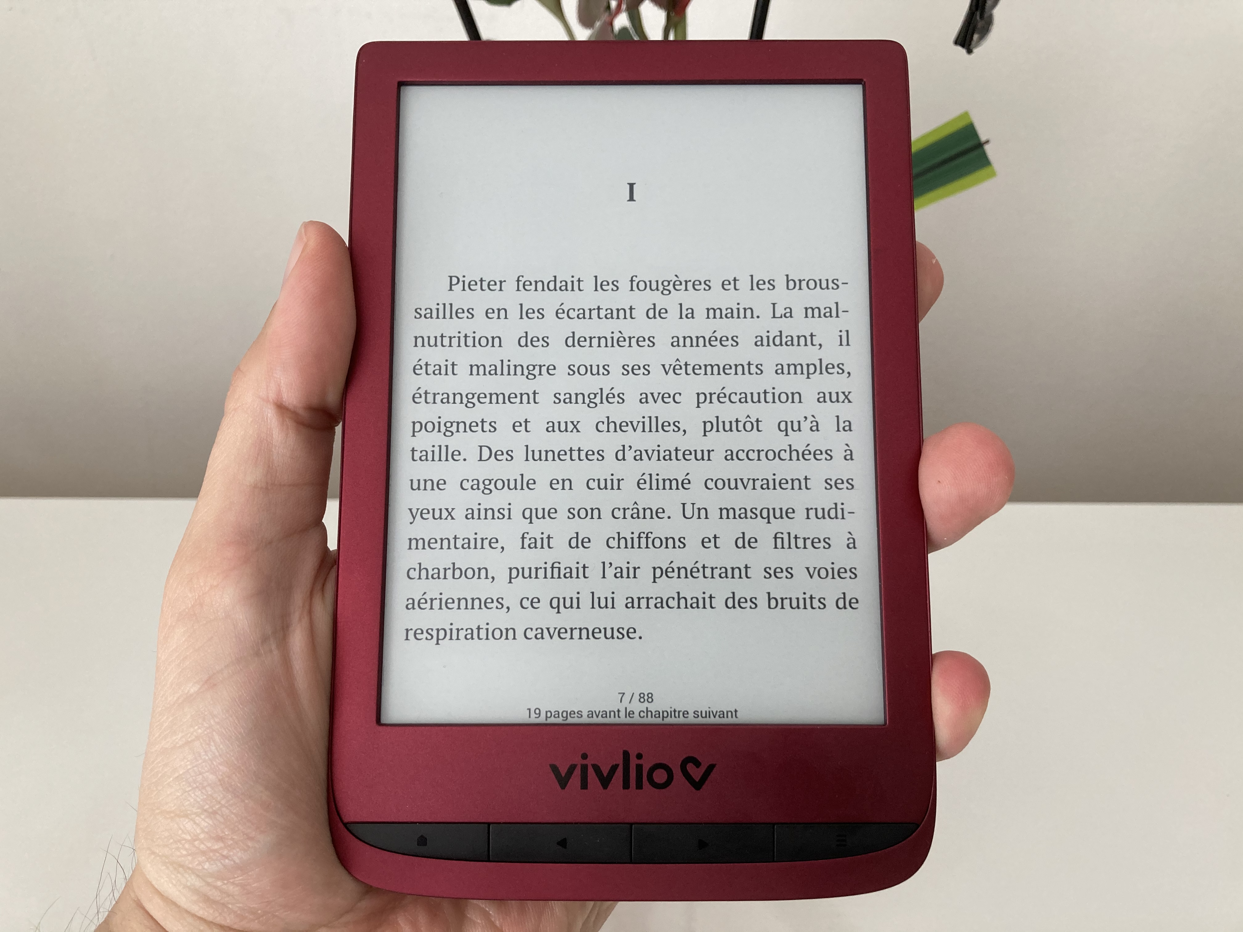 Remplacer Vivlio TEA par Pocketbook