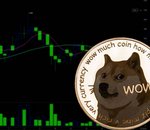 Le Dogecoin (DOGE) s'envole avec une hausse de plus de 300% en 7 jours