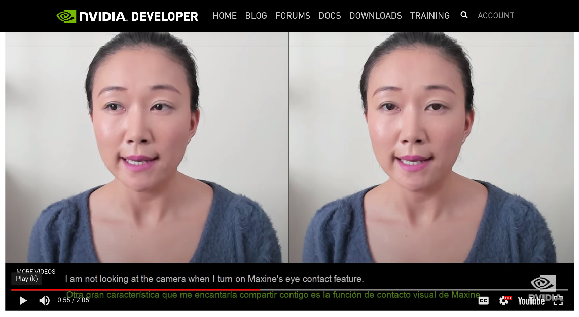 Deepfake-Nvidia © © Nvidia