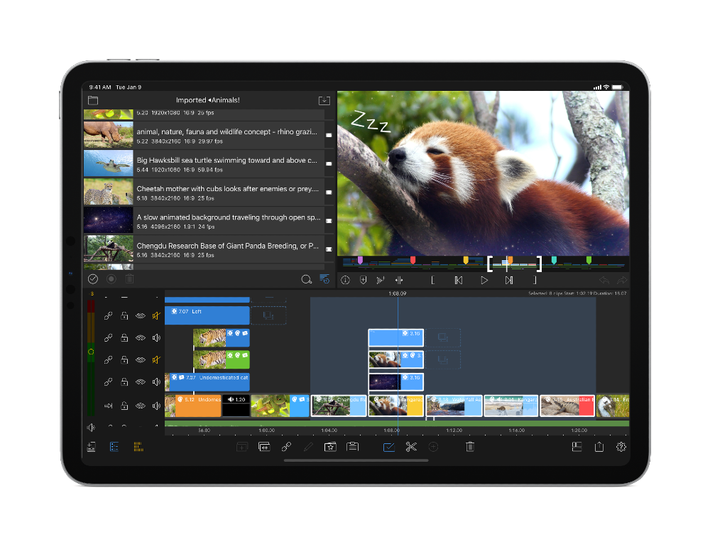 Luma Fusion iPad