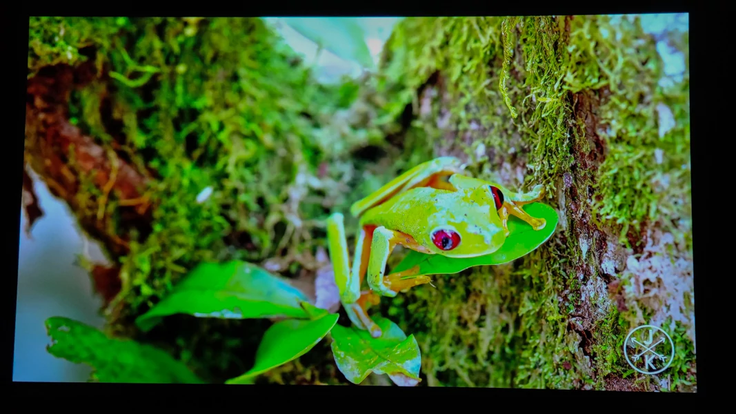 Xgimi Horizon Pro © David Nogueira