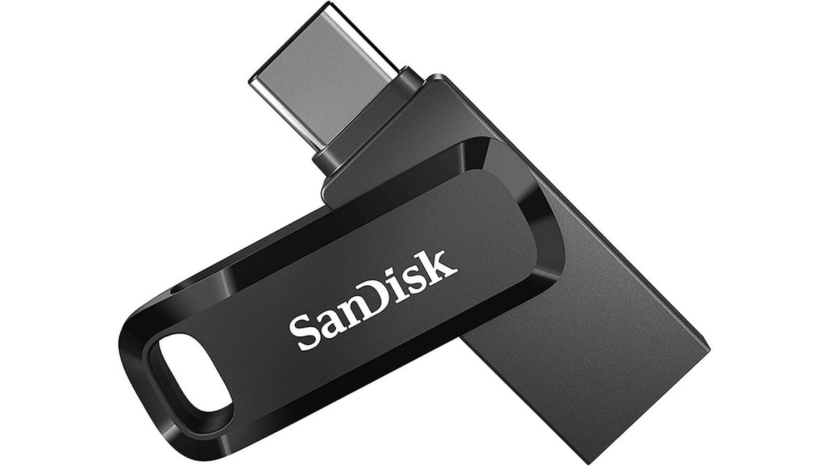 SanDisk Ultra Go 256 Go