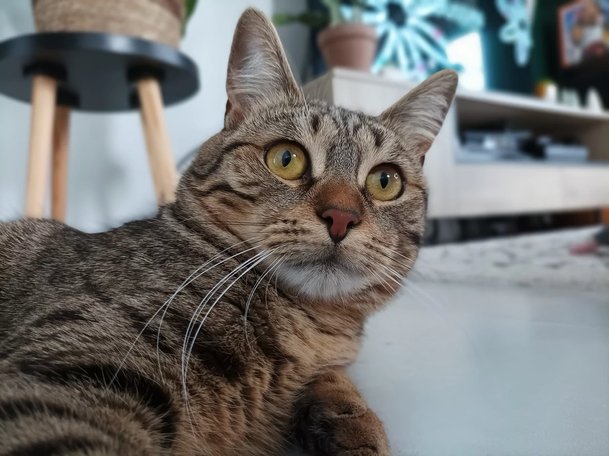 Redmi Note 10 5G test © © Pierre Crochart pour Clubic