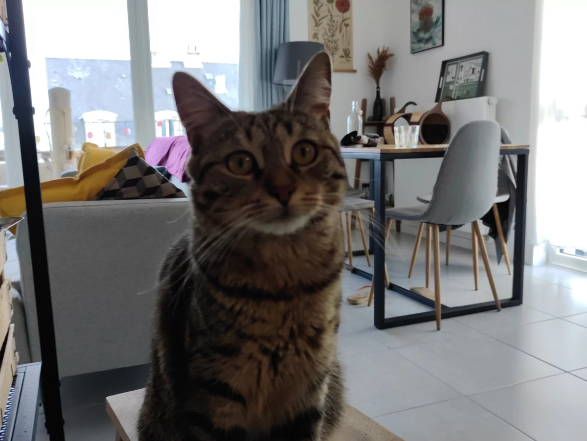 ZTE Axon 30 Ultra test © © Pierre Crochart pour Clubic
