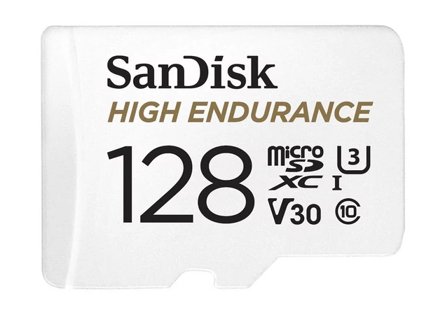 SanDisk High Endurance