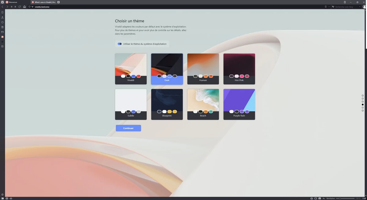 Vivaldi install © Capture d'écran