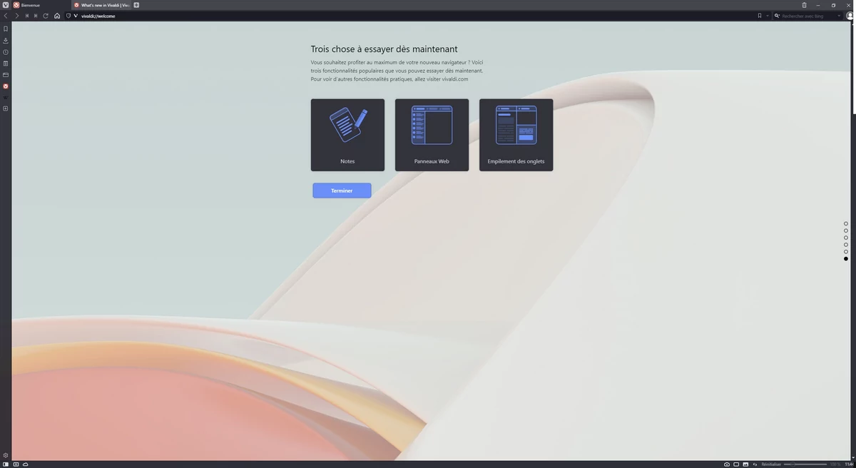 Vivaldi install © Capture d'écran