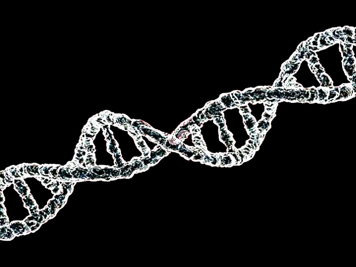 Molécule d&#039;ADN