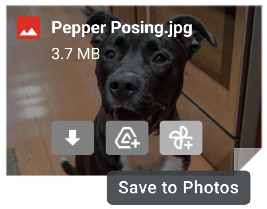 Si le bouton à droite avec l'icone Google Photos apparait, votre cliché peut directement y être enregistré. © Google 