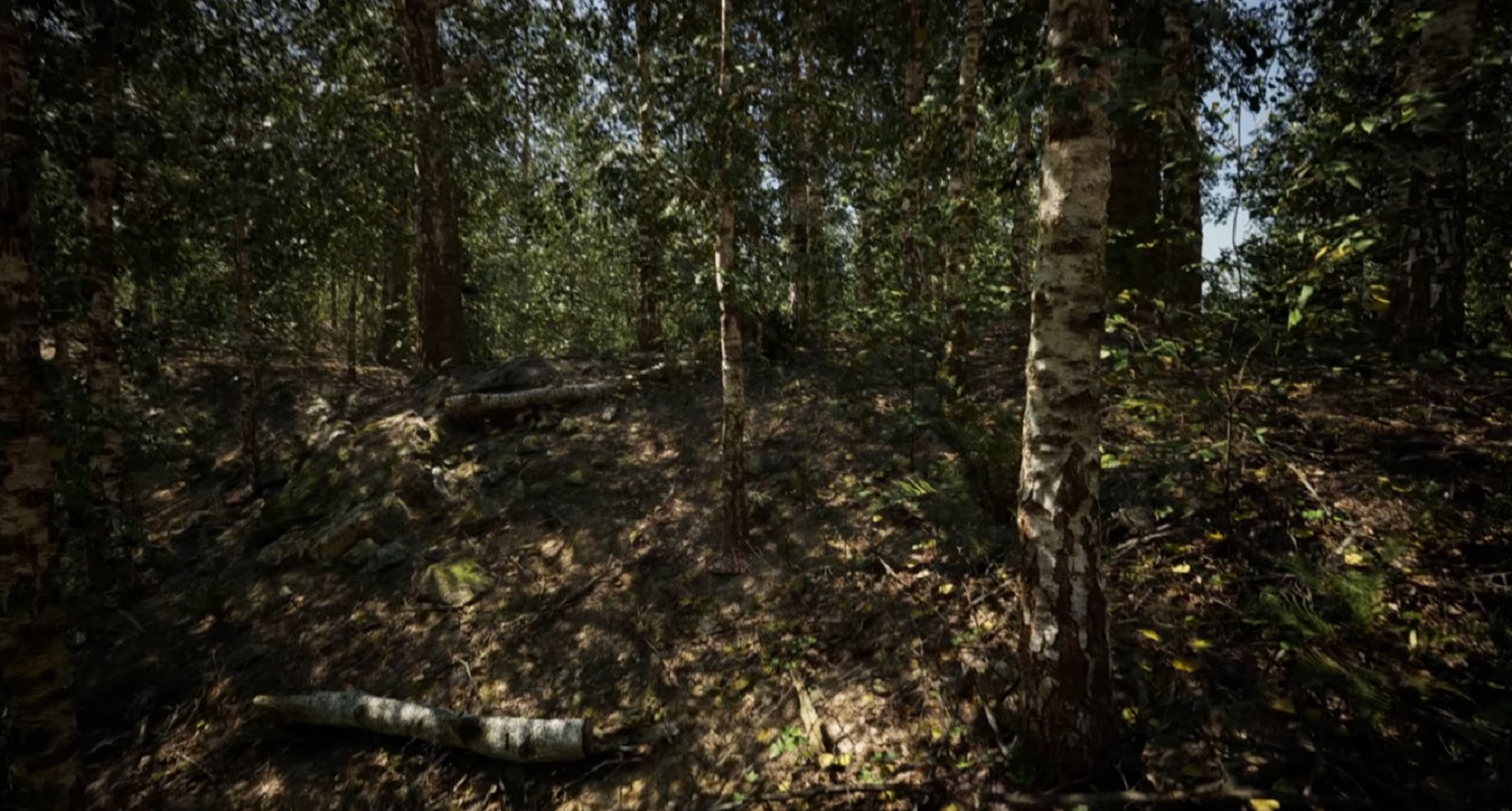 Unreal Engine 5 : le photoréalisme à portée de Ray Tracing dans cette vidéo de démonstration