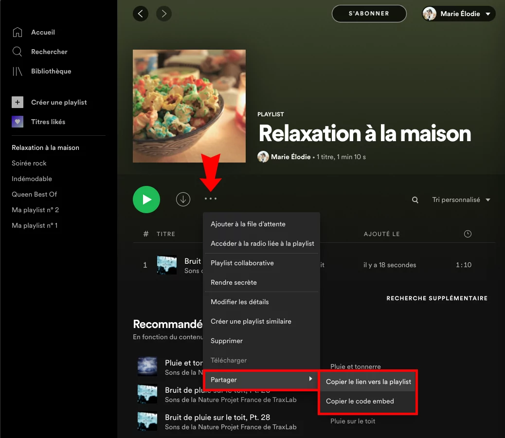 Bruit de Pluie et Musique pour Dormir Radio - playlist by Spotify
