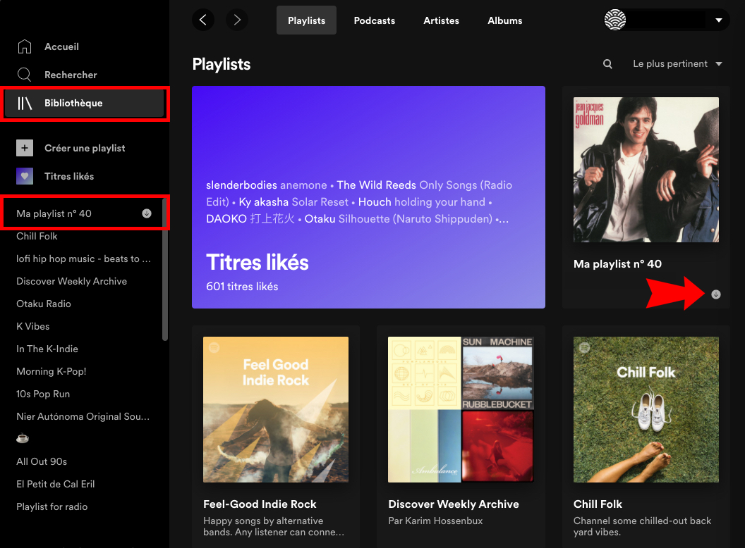 tuto_16_spotify_telechargements_pc