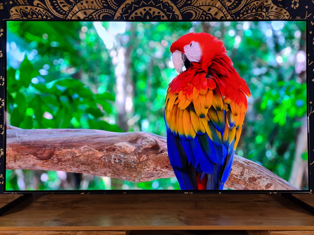 Test LG OLED65G1_2 © Matthieu Legouge