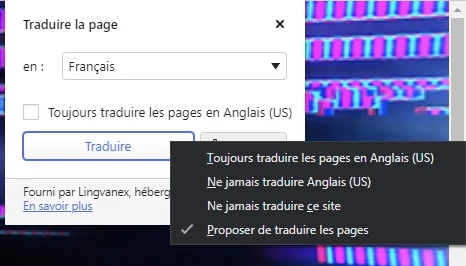 Trad Vivaldi © Capture d'écran