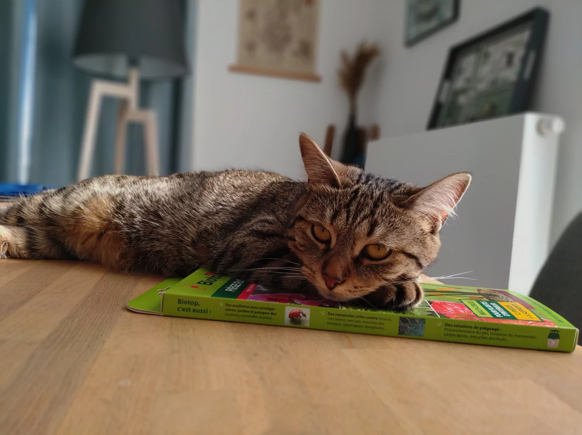 Sony Xperia 10 III test © © Pierre Crochart pour Clubic