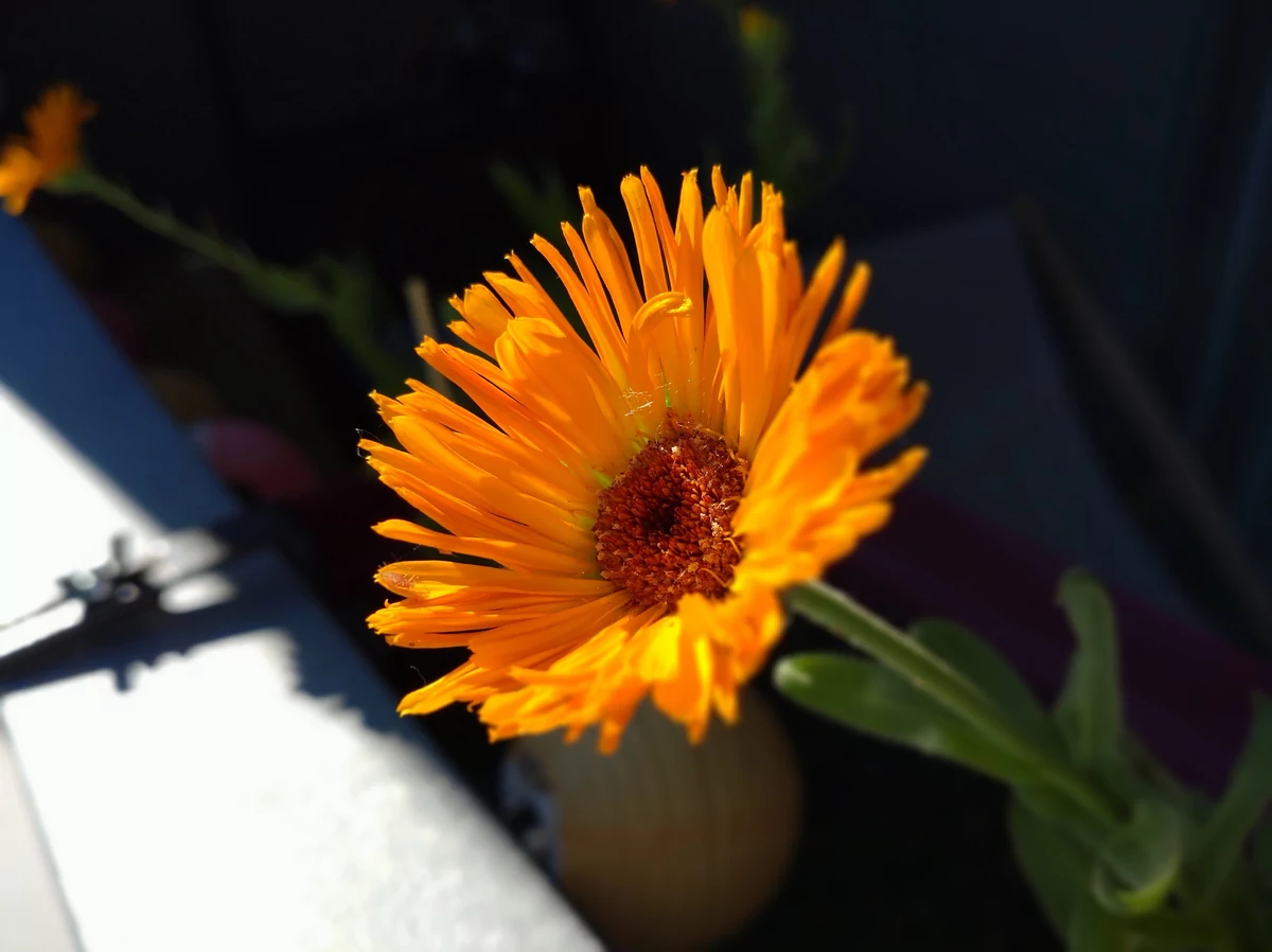 Sony Xperia 10 III test © © Pierre Crochart pour Clubic
