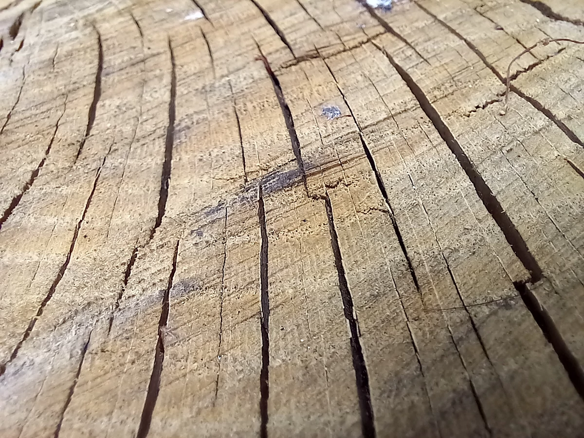 photo macro galaxy A12