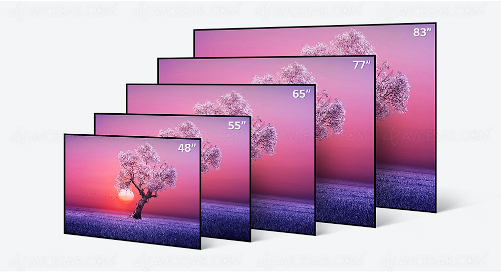 La gamme 2022 des téléviseurs OLED de LG pourrait embarquer une diagonale de 42
