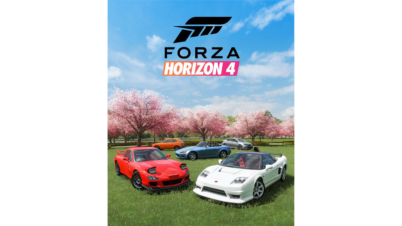 Forza store for switch