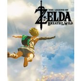 The Legend of Zelda : Breath of the Wild 2