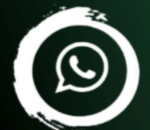 Zoom sur GBWhatsApp, l'alternative débridée de WhatsApp sur Android