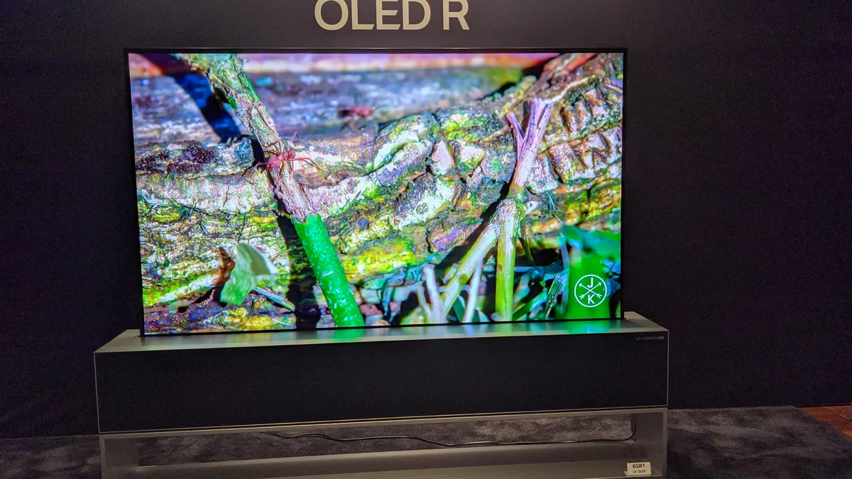 LG OLED 65R1 © David Nogueira