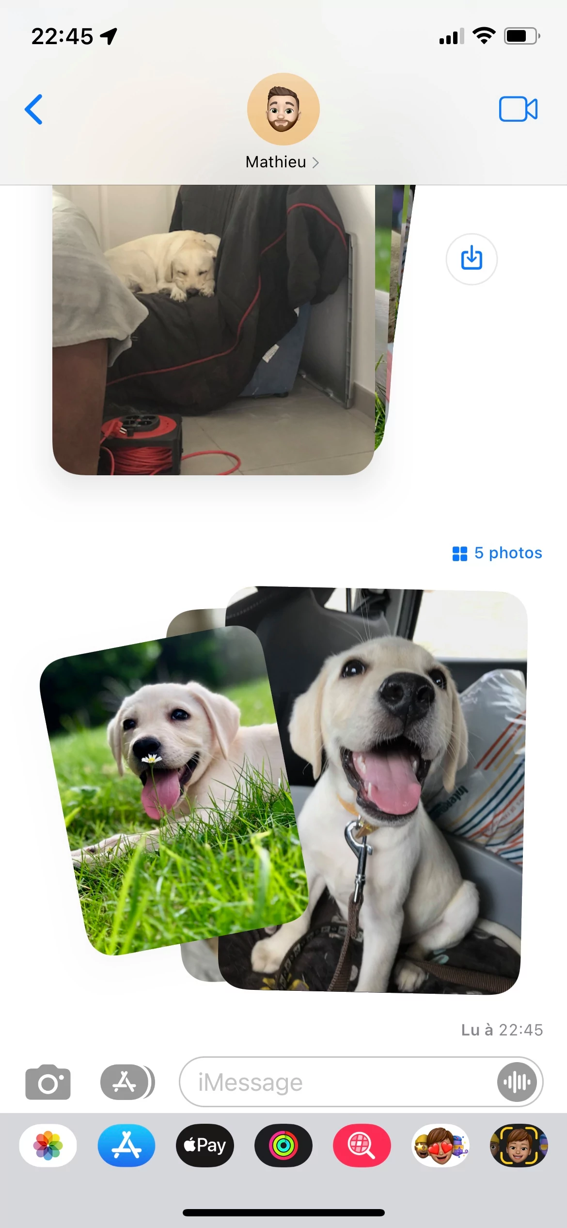 Messages iOS 15