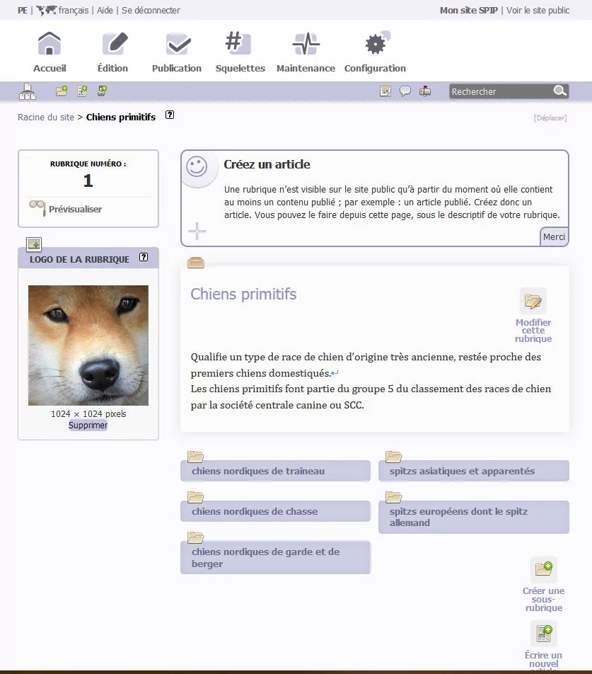 spip_backend2 © P-E LAURENT
