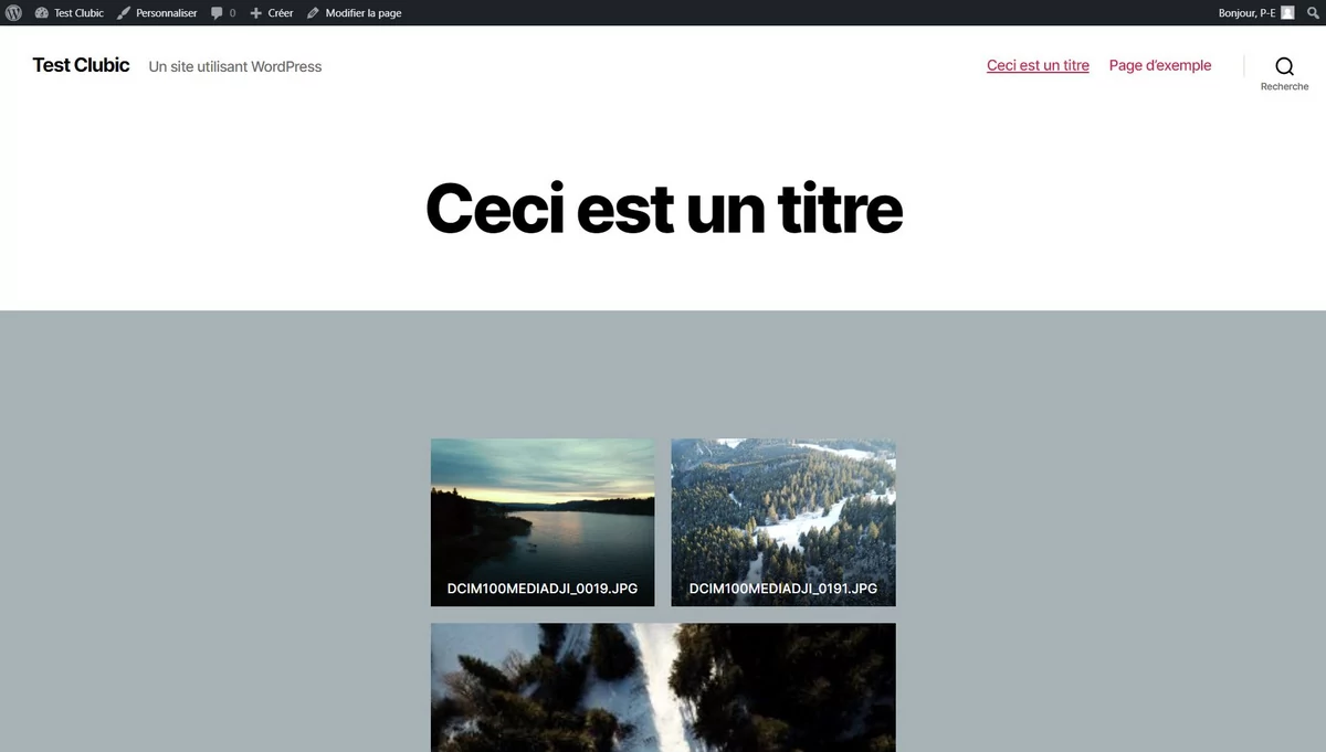 wordpress_front1 © P-E LAURENT
