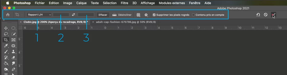 Option du recadrage © Romain Duclos