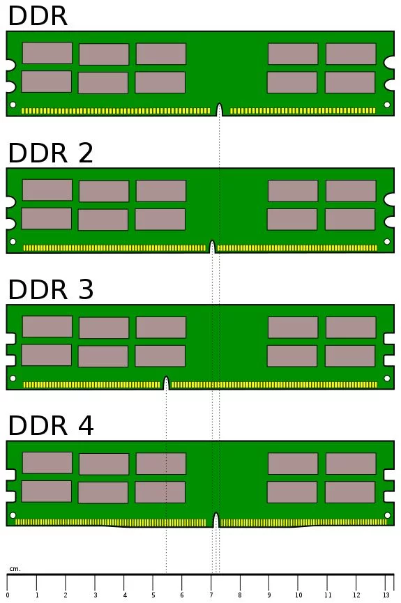 Различия DDR1, 2, 3, 4 © Wikipedia