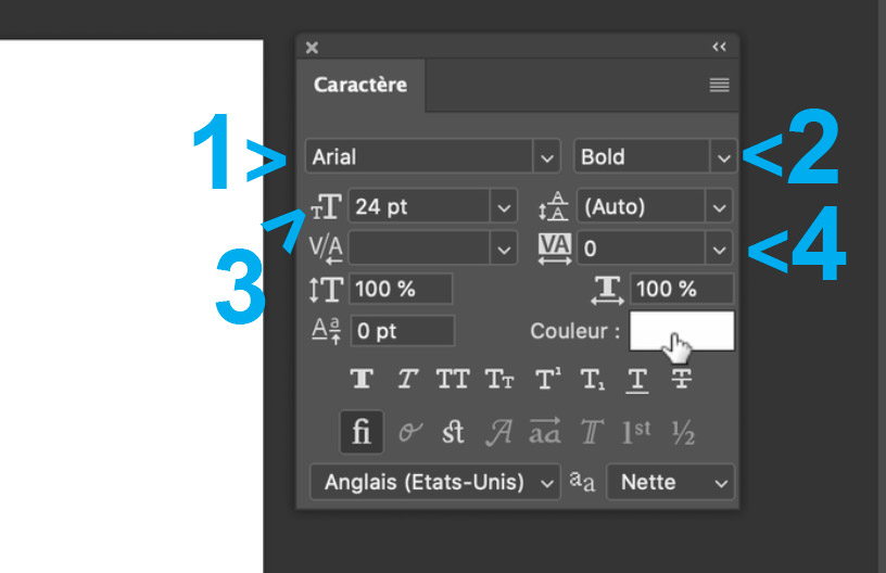 Text settings © Romain Duclos