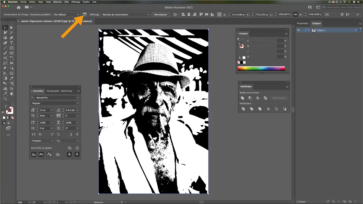 1er vectorisation © Romain Duclos