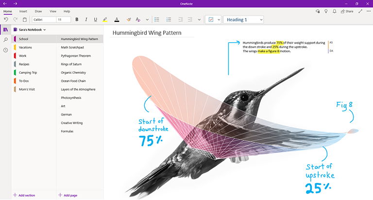 onenote windows © Microsoft