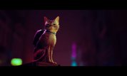 STRAY, l'aventure dont vous êtes le chat, montre ses griffes en vidéo