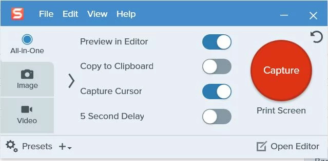 Capture d'écran Snagit