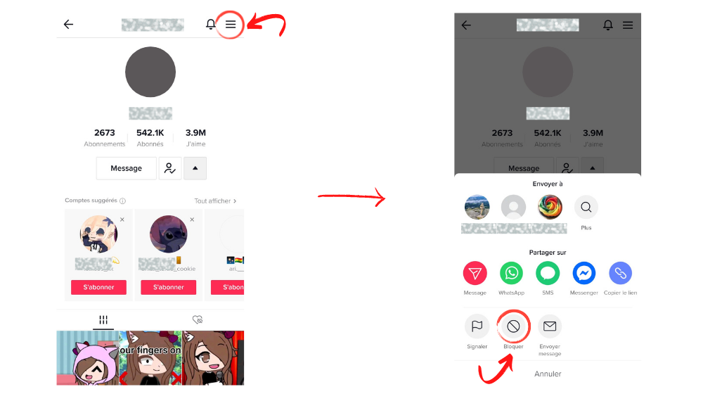 TikTok Bloqu3 © © TikTok