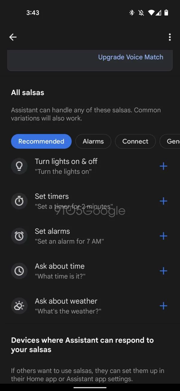 Salsas Google Assistant © 9to5Google