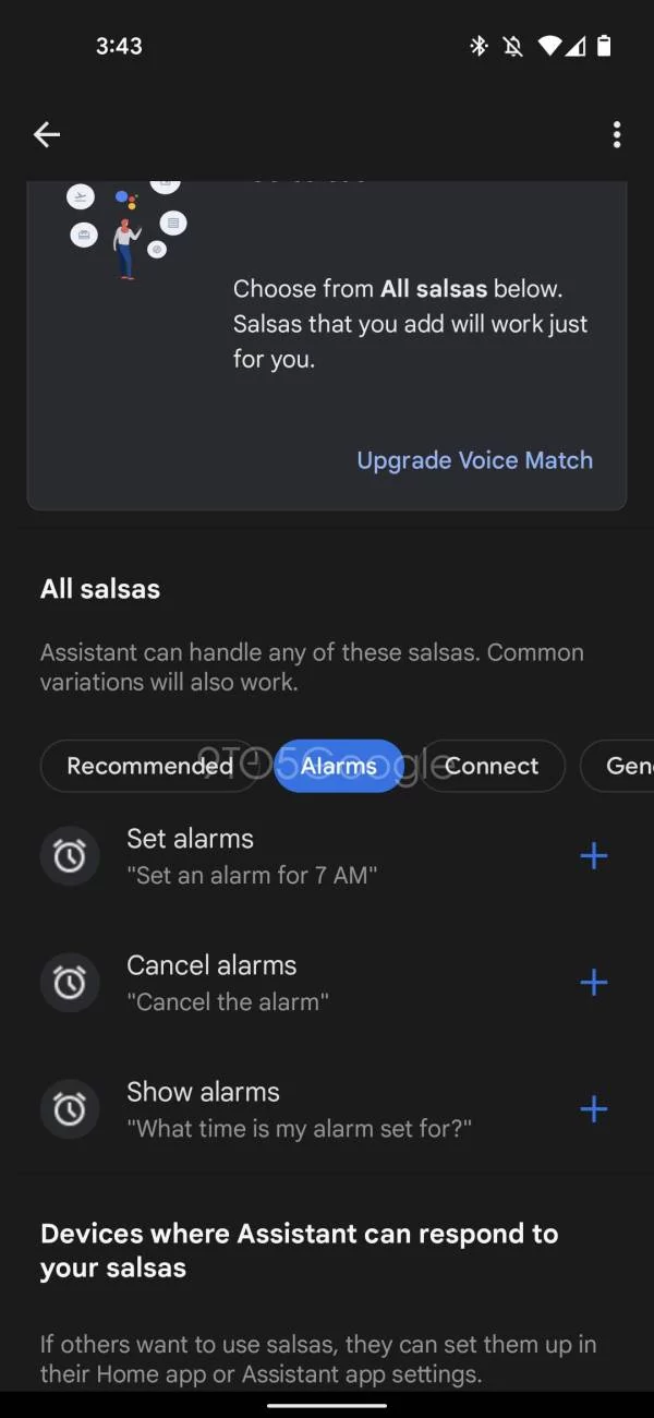 Salsas Google Assistant © 9to5Google