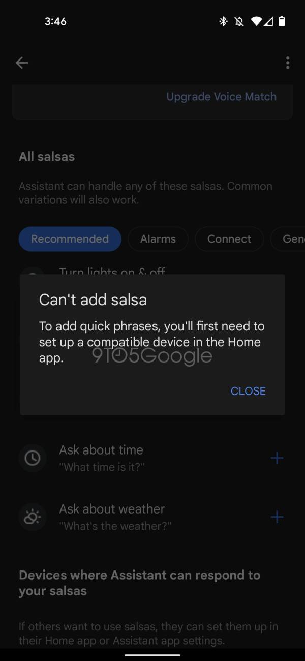 Salsas Google Assistant © 9to5Google