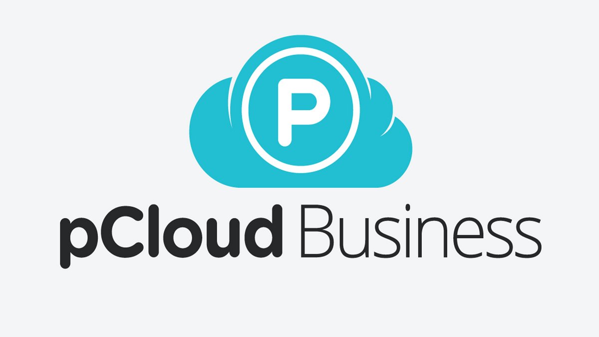 pCloud Business